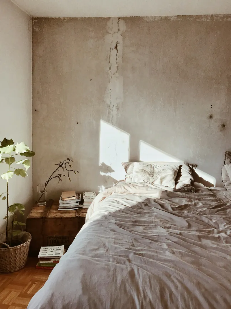 Sunlit bedroom with a plant beside the bed