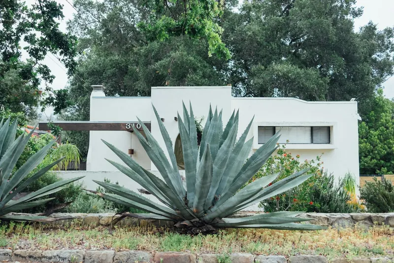 Single-story white stucco house with an agave garden